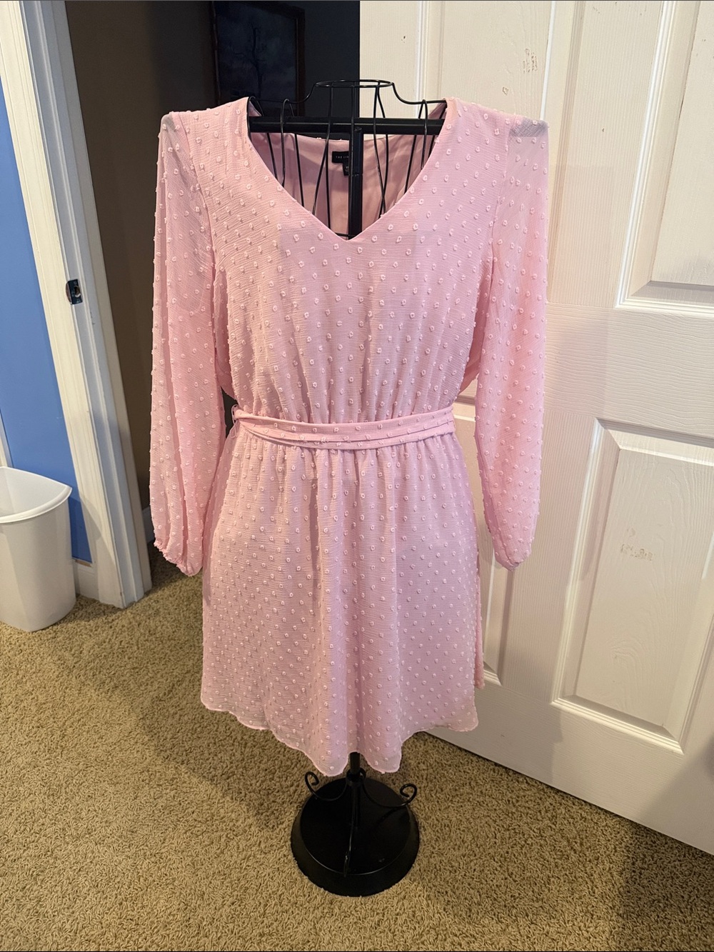 The Limited Light Pink Swiss Dot Chiffon V-Neck Long Sleeve Dress XL